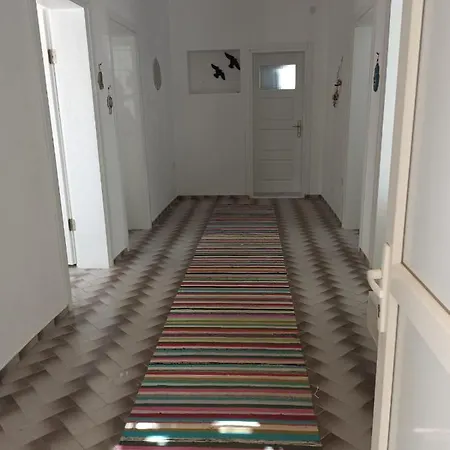 Zasge Turgutreis *